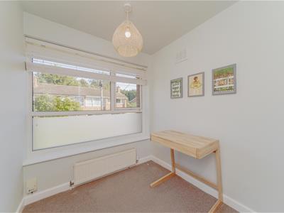 Picture 20